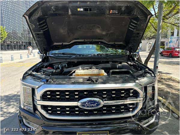 Ford Lobo Platinum 4X4 2021 - Foto 30