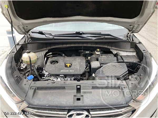 IMG_9437-copia.jpg