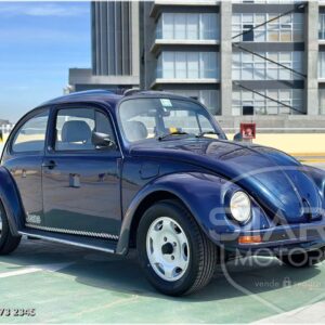 Volkswagen Sedan <br> 2000